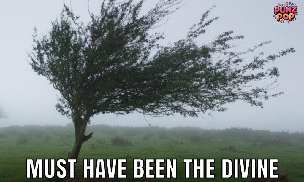 Best Wind-Themed Wordplay Jokes