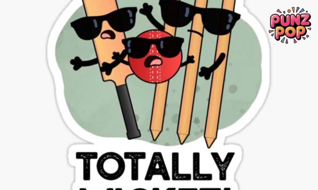 Cricket Puns for Tourists and Travelers🏏