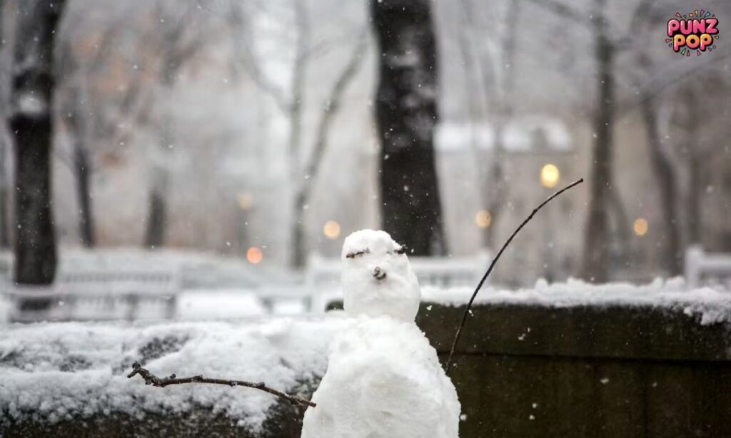 _Funny Snow Puns & Captions