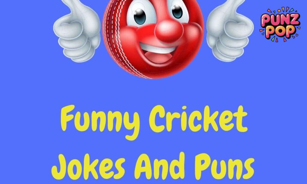 Short Funny Cricket Puns
