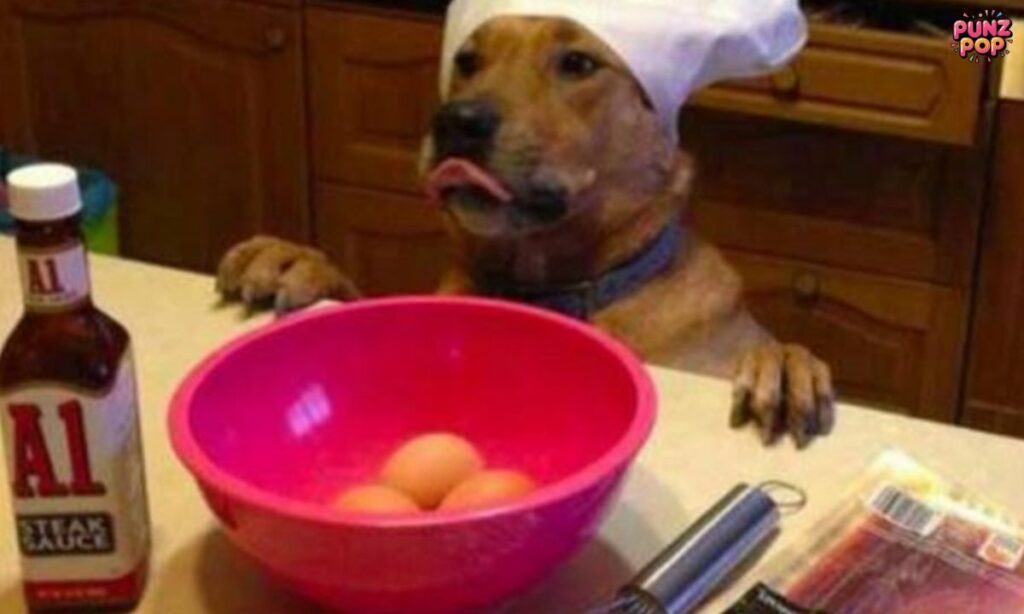 Clever Dog Puns for Instagram