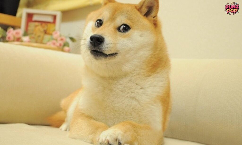 Punny Dog Quotes That'll Crack You Up