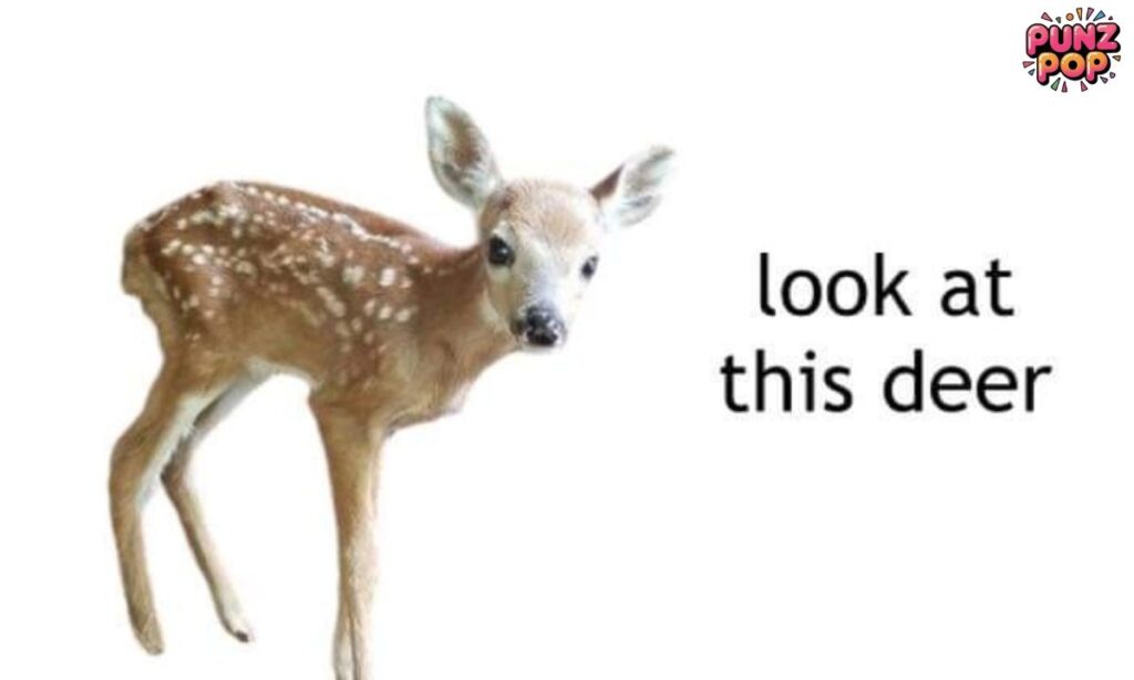 Short Funny Deer Puns