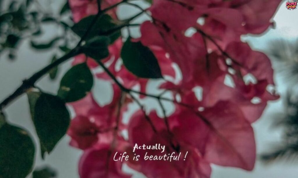 Short and Simple Flower Captions for Instagram