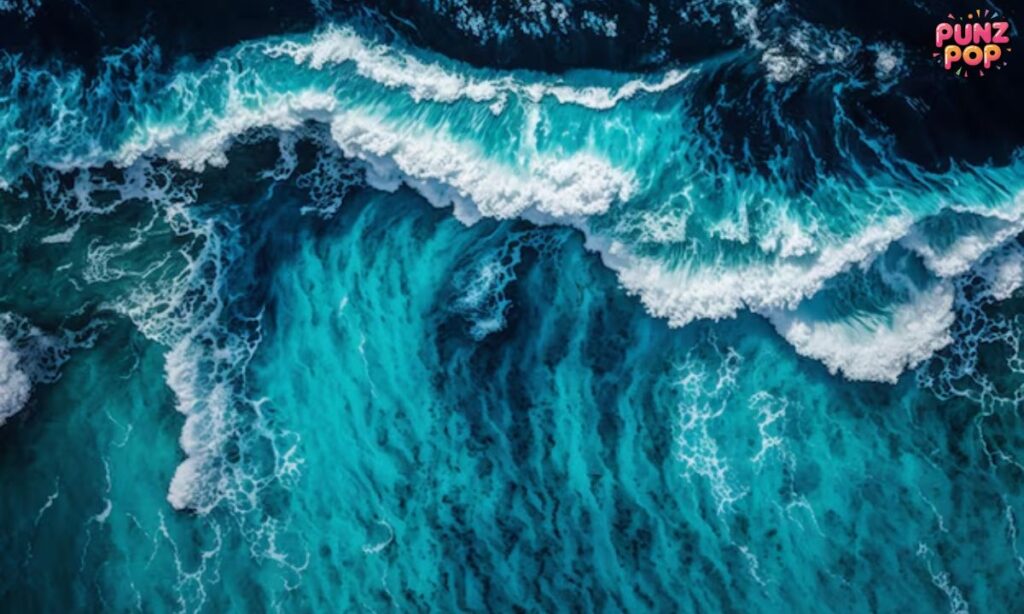 Ocean Caceptions for Instagram