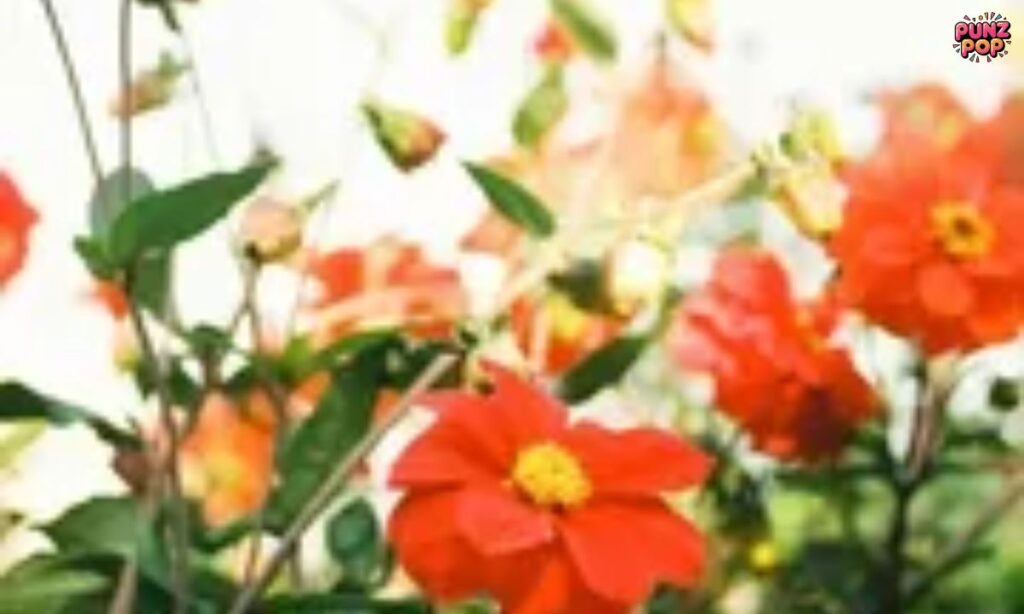 🌺 Flower Captions & Quotes for Instagram