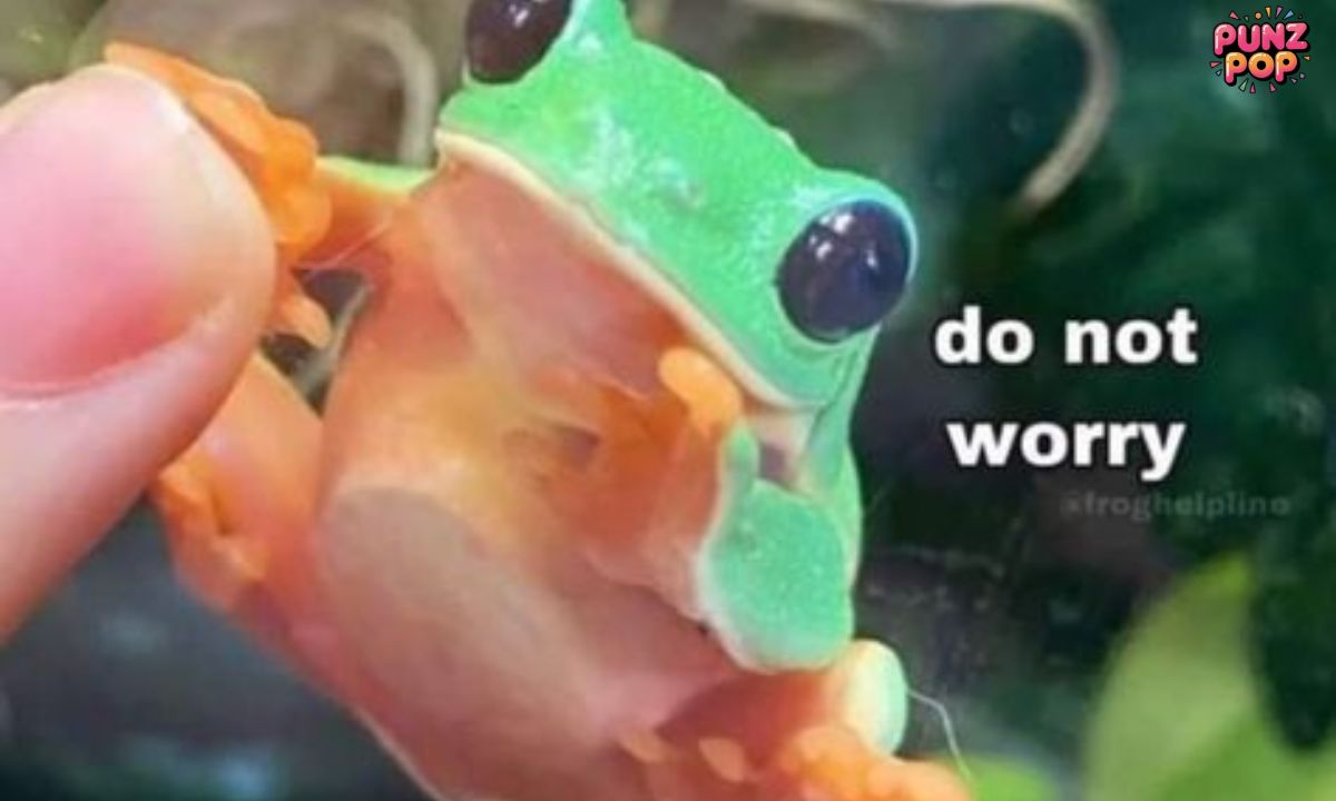 🐸 More Ribbeting Frog Jokes