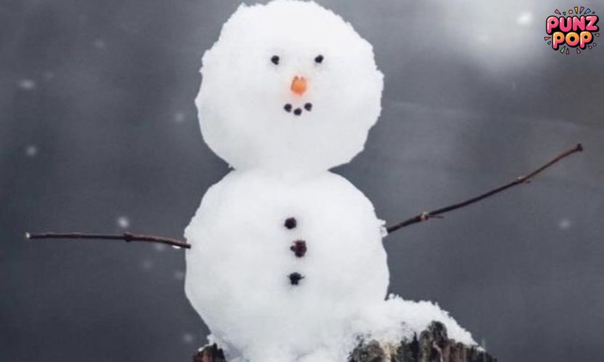 Funny Winter Puns Captions ❄️⛄😄