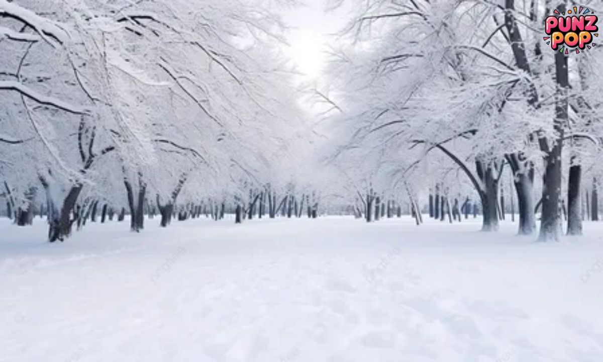 Witty Winter Puns for Social Media ❄️💬✨