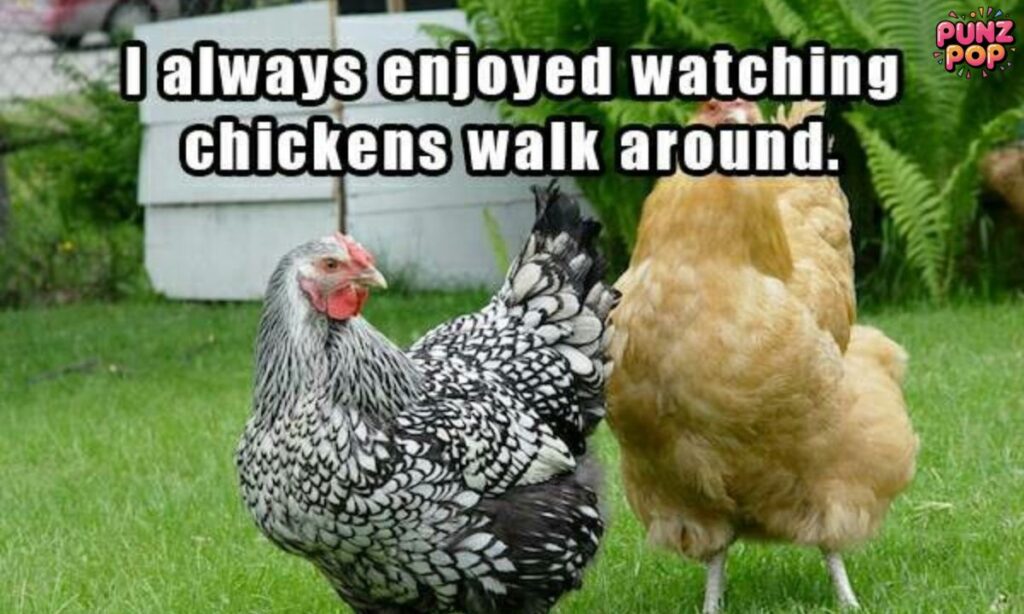 🎭 Classic Chicken Jokes 