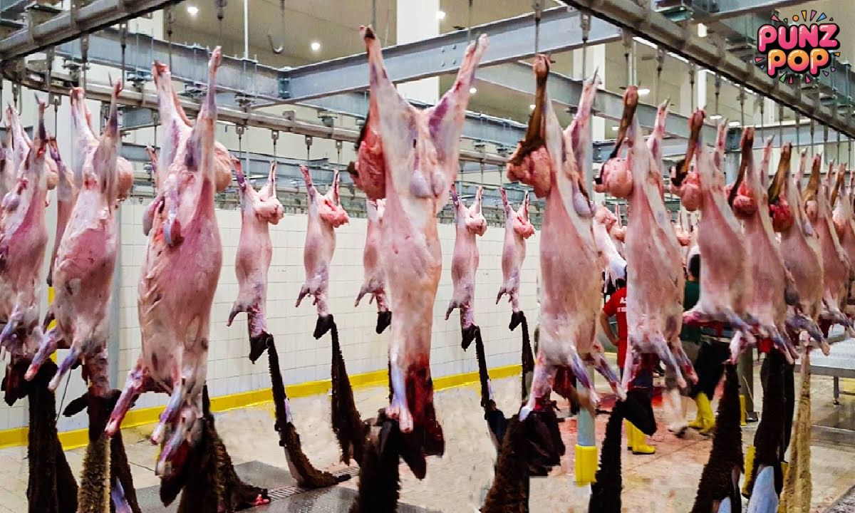 🐐 Goat Products Puns!