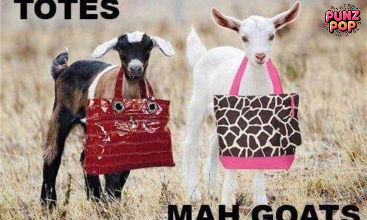 🐐👗 Fashion Goat Puns!