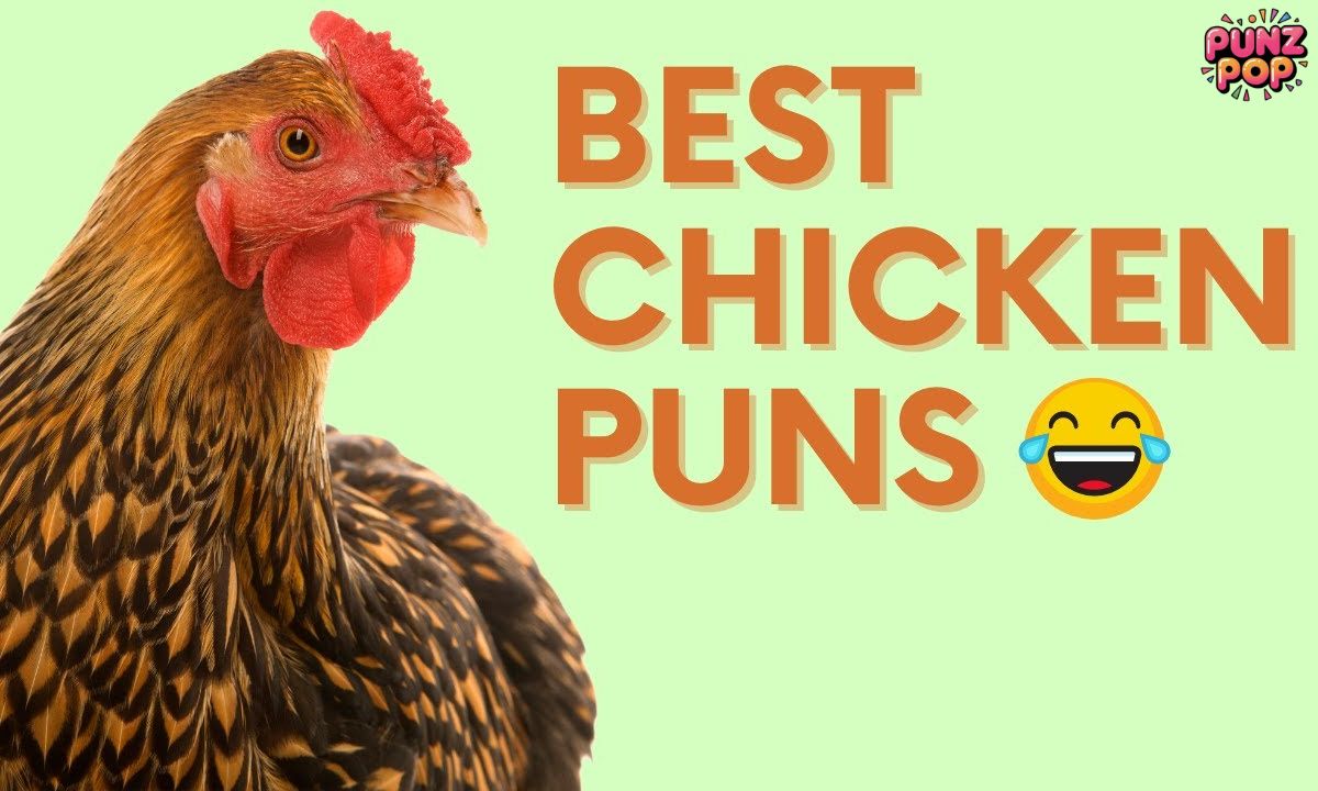 🐣 Puns About Chickens