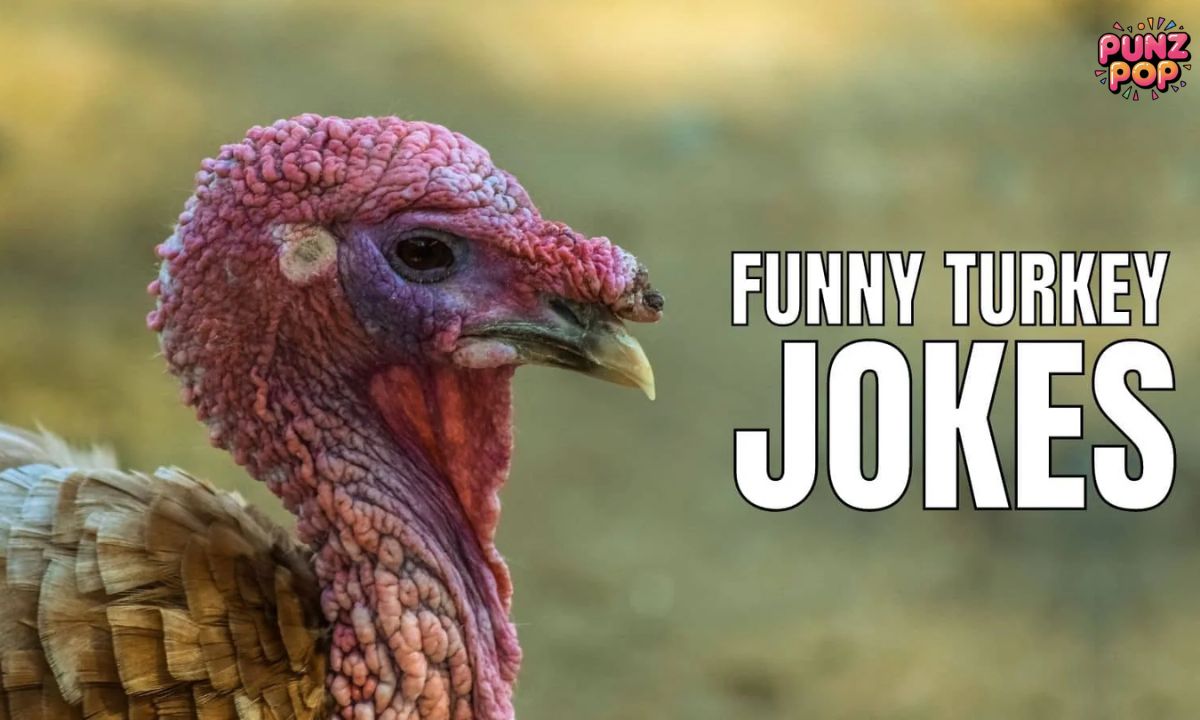🦃 Short Turkey Puns
