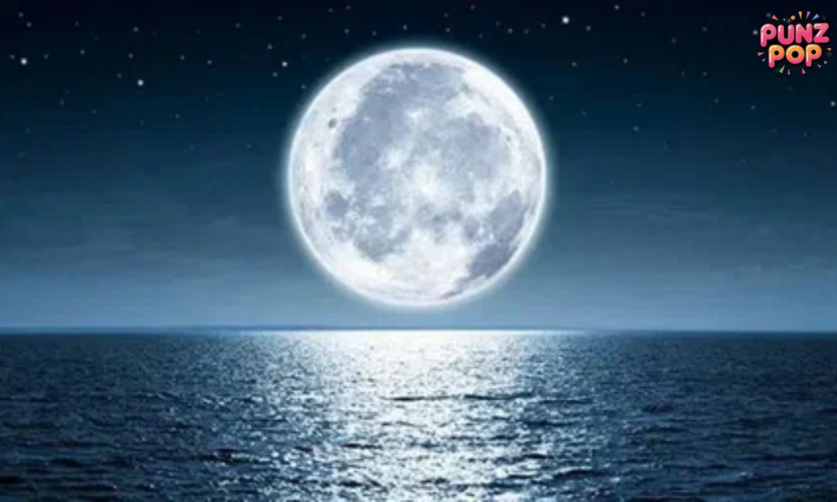 🧛 Vampire Jokes For Instagram Captions