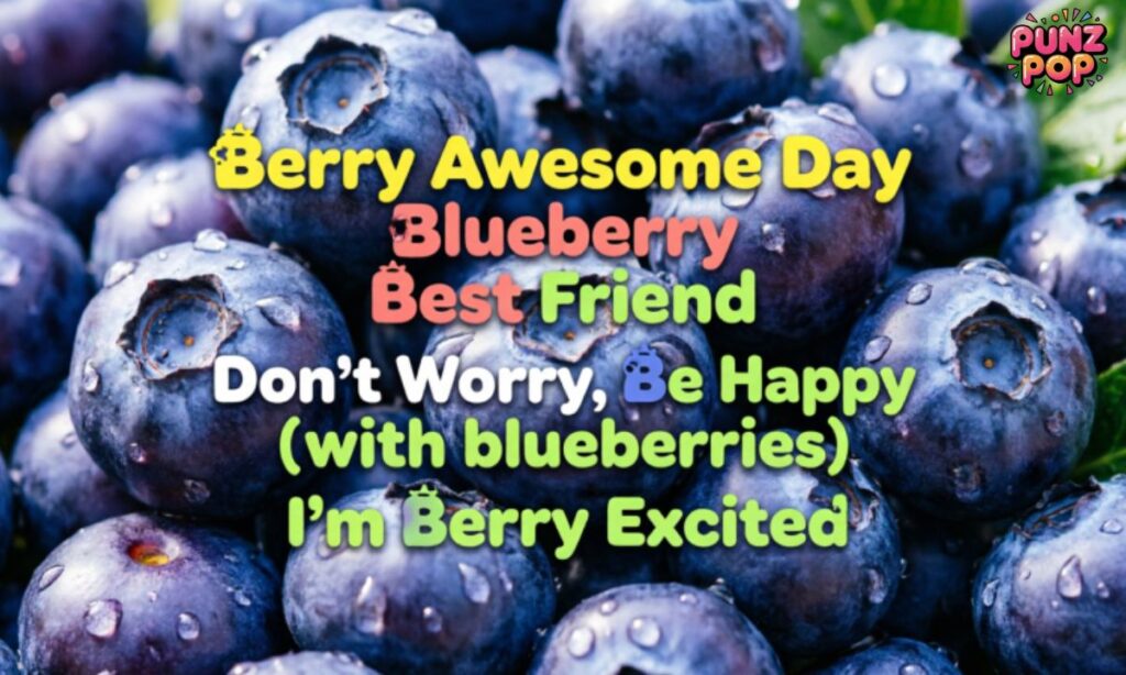 Clever Blueberry Puns for Instagram