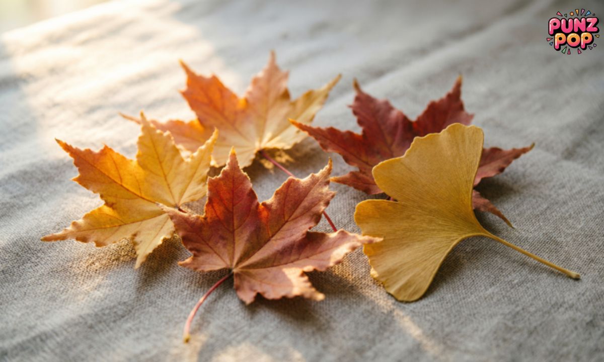 Short leaf puns 🍂