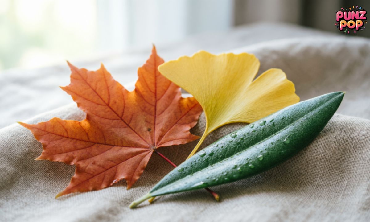 🍃 Classic Leaf Puns