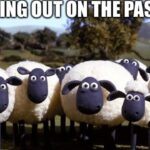 132+ Sheep Puns and Jokes That’ll Make You Wool-ly Laugh 2026