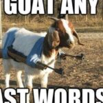171+ Funny One Liner Goat Puns