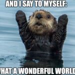 250 Otter Puns So Funny, You’ll Splash Your Drink Out!